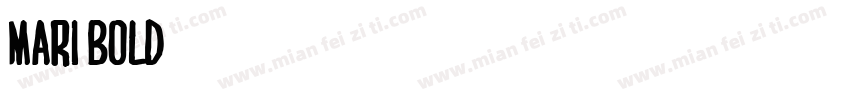 Mari Bold字体转换